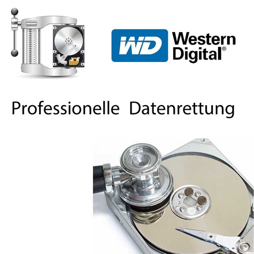 Datenrettung western digital - datenrettung,